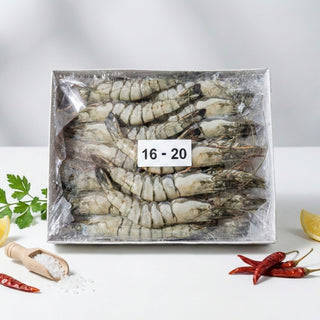 Prawn Tiger HOSO 16/20 1kg